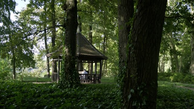 Un homme joue du piano entour&eacute; de nature au Parc de la T&ecirc;te &agrave; Lyon, France