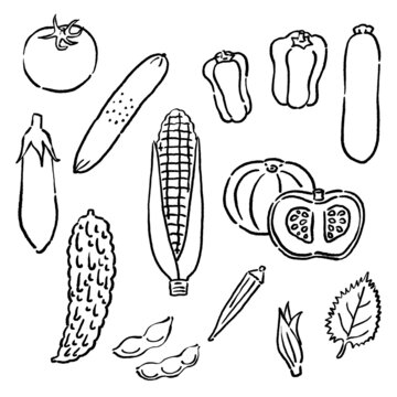 Tunaco 写真 画像 アセット Adobe Stock