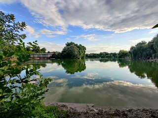 reflection of trees in water