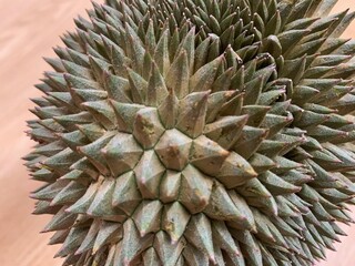 Naklejka na ściany i meble The focus image of durian fruit