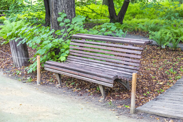 A recreation bench made of wood in a city park in summer