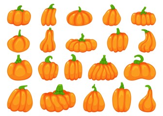 Cartoon halloween pumpkins, fall traditional orange pumpkin. Cute pumpkins in various shapes, squash vegetable, autumn decor element vector set. Healthy organic plant for thanksgiving day