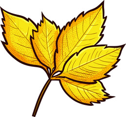 Funny five light yellow autumn leaves in doodle style
