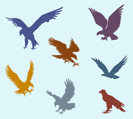 Colorful eagle flat vector icon set