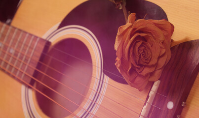 Classic Acoustic Guitar With Dried Rose on Guitar