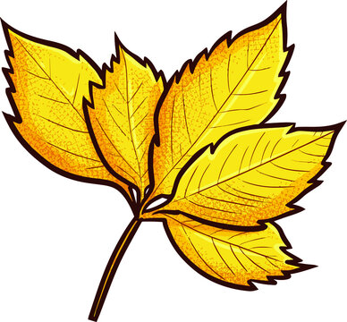 Leaf Cartoon