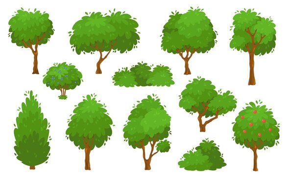 Cartoon green trees, bushes and hedges, forest or garden tree. Summer foliage plants, backyard shrub and bush, garden park plants vector set. Growing greenery, botanical elements isolated
