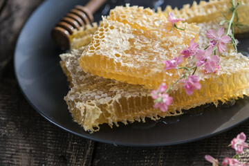 Nature wooden honey dipper and honeycombs on background of wooden