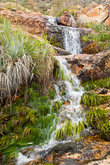 Cascades in the Waterval Nature Reserve near Tulbagh in the Western Cape of South Africa