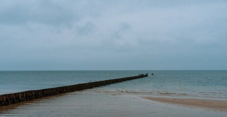 Fototapeta na wymiar Beach of Boltenhagen at the baltic sea