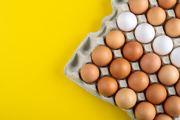 Nice big rural fresh eggs in cardboard egg box holder with colorful yellow background.