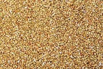 Buckwheat fresh background. Agriculture concept.