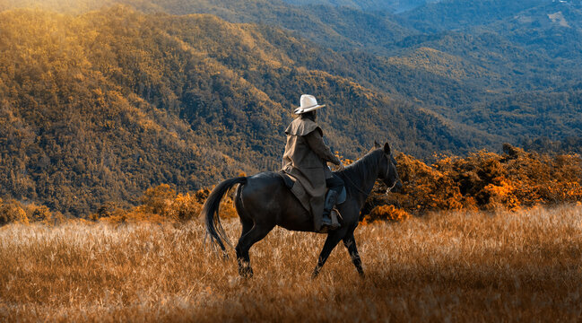 Cowboy horseback riding transportation at sunset time with green mountain and sunlight ray sky background.