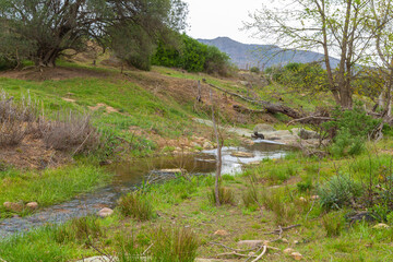 Landscape along a small creek near Ceres in the Western Cape of South Africa