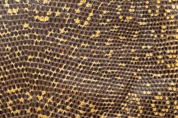 Snakeskin leather and texture background. Skin pattern background.
