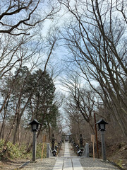 old cemetery in spring