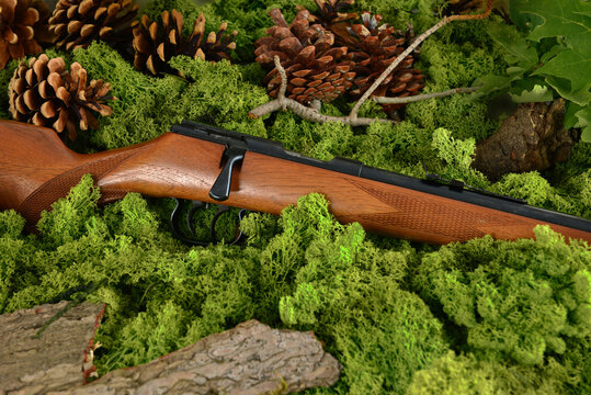Gewehr, Jagdgewehr antik im Wald