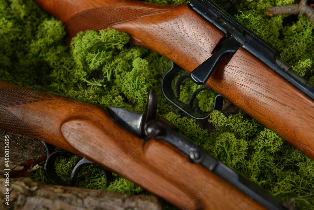 Wall mural Gewehr, Jagdgewehr antik im Wald