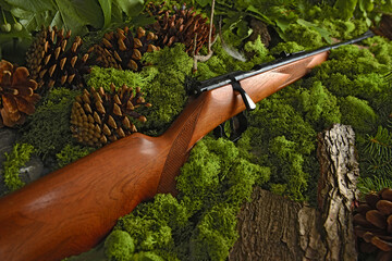 Gewehr, Jagdgewehr antik im Wald