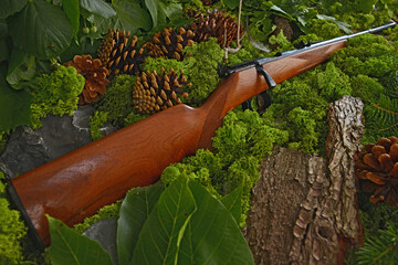 Gewehr, Jagdgewehr antik im Wald
