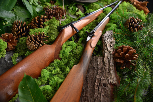 Gewehr, Jagdgewehr antik im Wald