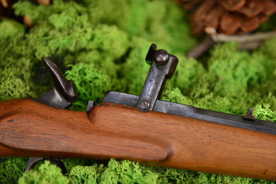 Gewehr, Jagdgewehr antik im Wald