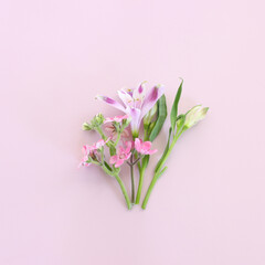 Naklejka na ściany i meble Top view image of pink and purple flowers composition over pastel background .Flat lay