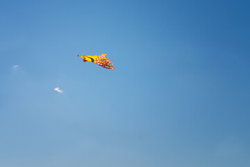soaring in the clear blue sky flying snake