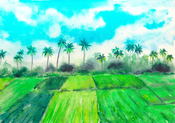 Watercolor handdrawn illustration of tropical agriculture.. Palms, sky, rice fields. Asian view, tourism, Bali, Indonesia,  China. Background, texture