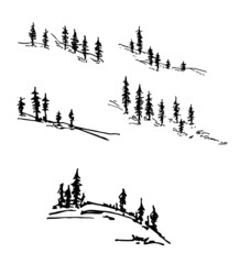 Silhouette of pine trees. Vector set of coniferous trees silhouettes. Set of forest silhouettes. Tree collection, Forest silhouette, isolated on white, vector illustration.