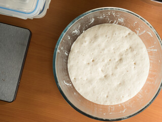 Bowl of fermented bread dough