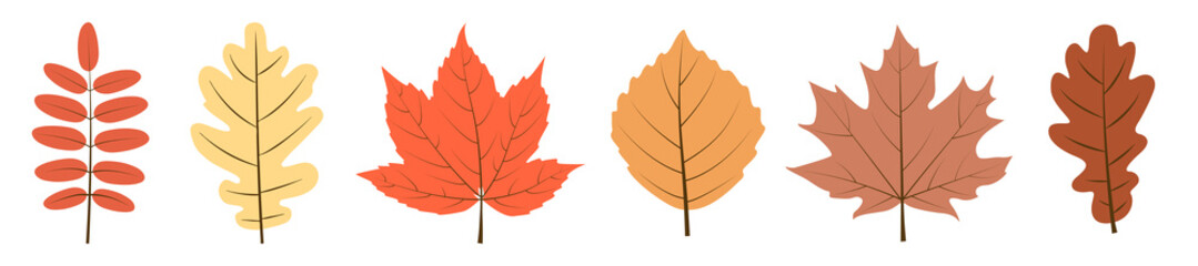 Obraz premium Set of autumn leaves on white