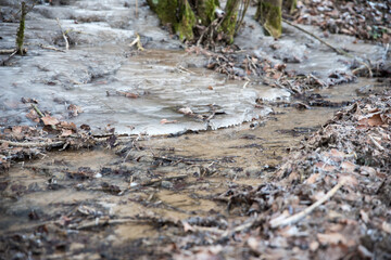 frozen creek in winter forest