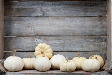 White pumpkins (baby boo) on wooden background