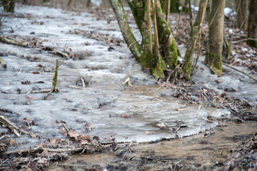 frozen creek in winter forest