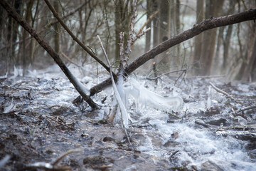frozen creek in winter forest