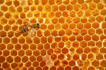 Fotobehang Macrofoto van een bij op een honingraat. Nationale honingbij dag. September honing maand. © vetre