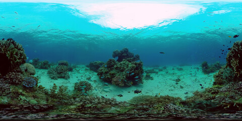 Tropical Seascape Underwater Life. Tropical underwater sea fish. Philippines. 360 panorama VR
