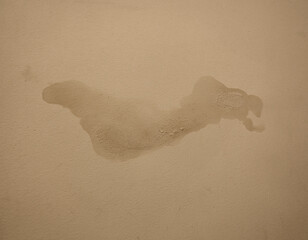 Big wet spot on the ceiling