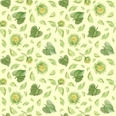 Sunflower buds and leaves seamless pattern. Watercolor clipart on green background