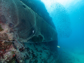 big fish net underwater kill fish and dangerous to environment.