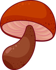 mushroom porcino