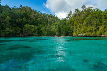 Fototapeta na wymiar A secret sandy beach, surrounded by turquoise waters and a landscape of immense tropical jungle, Gam Island, Raja Ampat, West Papua, Indonesia