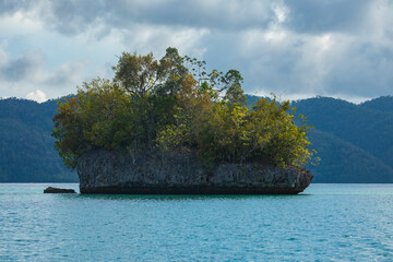 Small tropical island, and seascape, weathered by sea water, covered with lush vegetation, Gam Island, Raja Ampat, West Papua, Indonesia