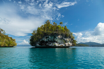 Small tropical island, and seascape, weathered by sea water, covered with lush vegetation, Gam...