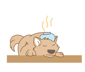 氷のうを頭に乗せた犬