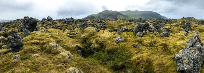 Orange panorama of Iceland lava landscape with moss and volcano mountains 