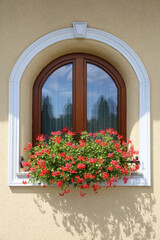Obraz na płótnie Canvas Window at home with beautiful flowers 