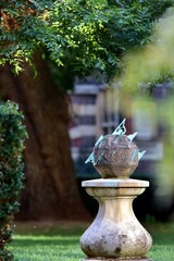 fountain in the park