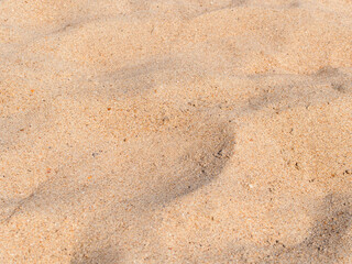 golden sand on the Black Sea beach